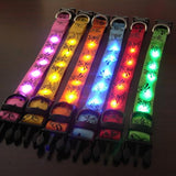 Safety Glowing Pet Collar With LED By Project Pet Lovers Club