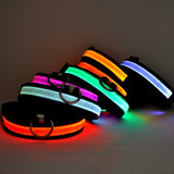 Safety Glowing Pet Collar With LED By Project Pet Lovers Club