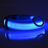 Safety Glowing Pet Collar With LED By Project Pet Lovers Club