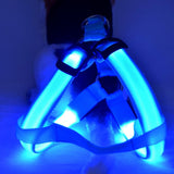 Safety Glowing Pet Harness With LED