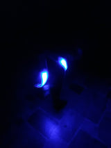 Safety Glowing Pet Harness With LED