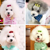 *Restock!* 10 Pcs/Set Special Dog Sunglass Hairpin Accessory