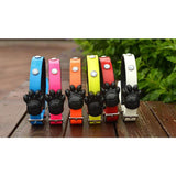 Premium Series - Multi LED Safety Pet Collar Version 1