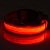 Safety Glowing Pet Collar With LED By Project Pet Lovers Club