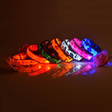 Buy 1 Get 1! - Safety Glowing Dog Collars and Leashes By Pet Lovers Club