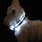 Buy 1 Get 1! - Safety Glowing Dog Collars and Leashes By Pet Lovers Club