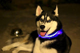 Buy 1 Get 1! - Safety Glowing Dog Collars and Leashes By Pet Lovers Club