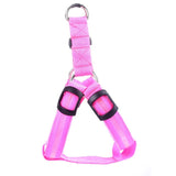 Safety Glowing Pet Harness With LED