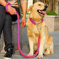 Big Dog Plaited Leash And Collar Set