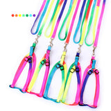 Safety Rainbow Leash and Harness Set